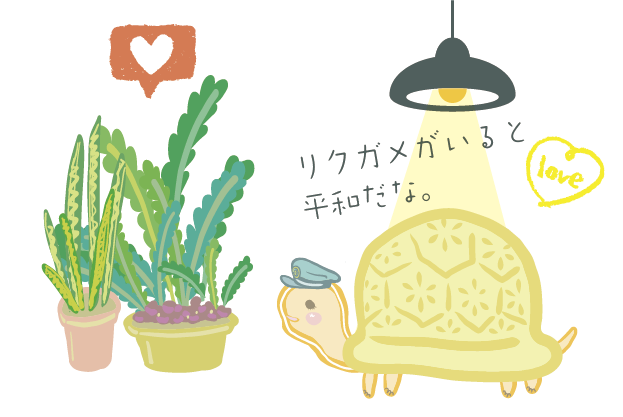 植物